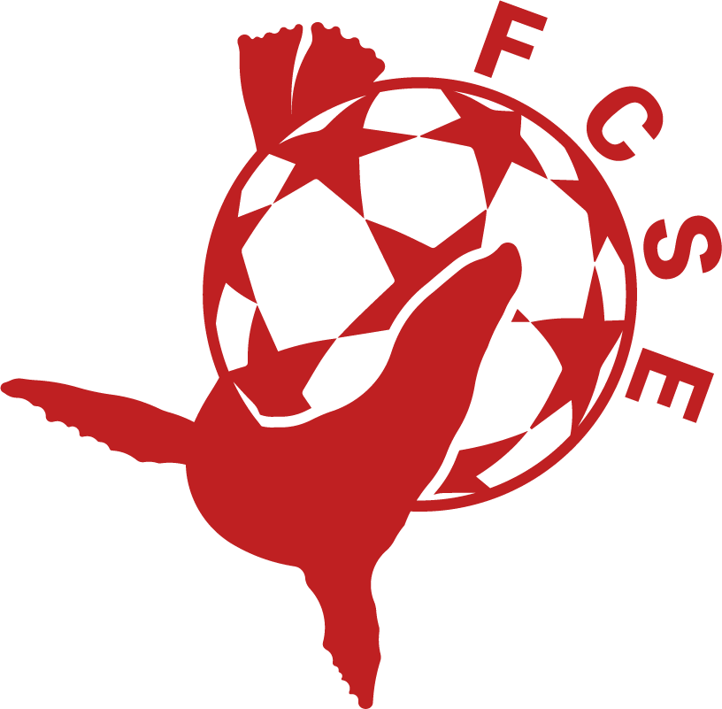 Un nouveau logo pour l'AS Saint-Étienne - L'Équipe